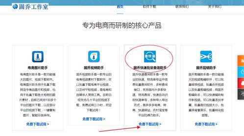 教你批量查询快递物流信息，一眼发现异常件——信息技术咨询服务指南