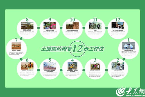 潍坊模式显成效 全国首个生姜土壤熏蒸服务规范出炉，信息技术赋能农业新篇章