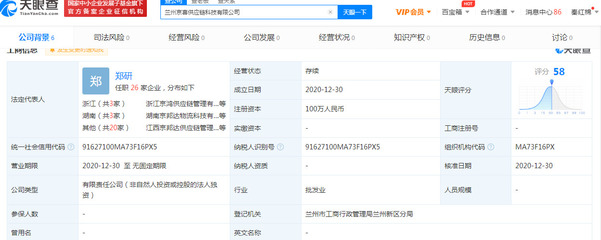 京喜快递狂飚突进 15天成立10家关联公司，信息技术咨询成布局核心